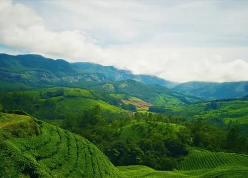 Munnar Tour Package