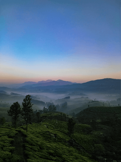 munnar