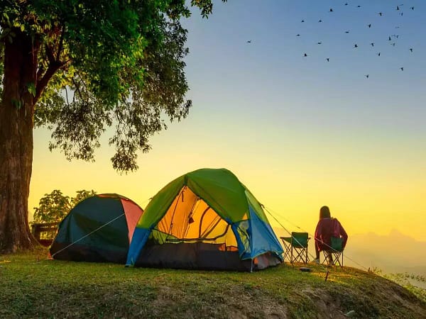 Camping in Shimla and Manali